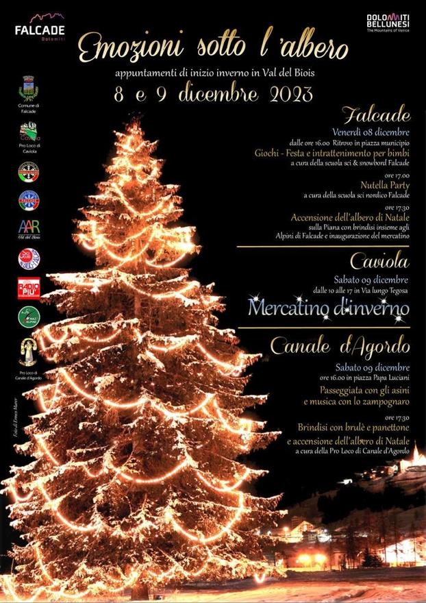 Emozioni sotto l'albero